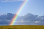 reliable and high quality weather stations